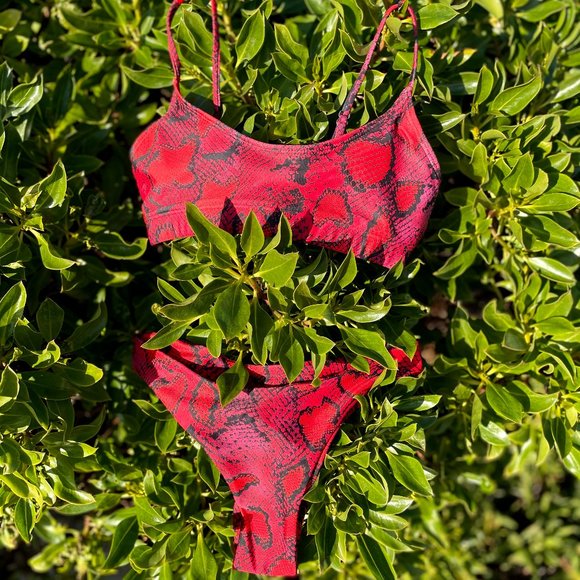 Luna Python Print Cheeky Bikini Bottom in Red - Picture 7 of 9